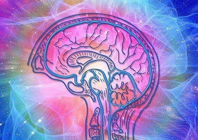 Abstract Art and its Cognitive Effect 📰